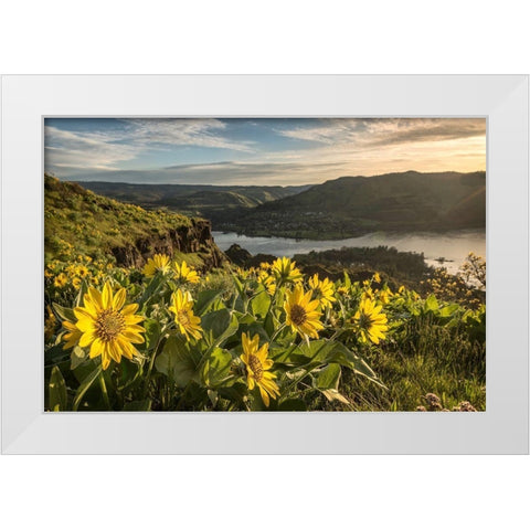 Soaking Up the Sun White Modern Wood Framed Art Print by Head, Danny