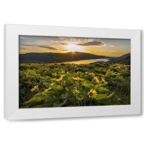 Wake Up Call White Modern Wood Framed Art Print by Head, Danny