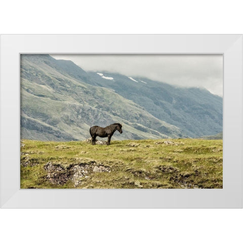 Standing Alone White Modern Wood Framed Art Print by Head, Danny