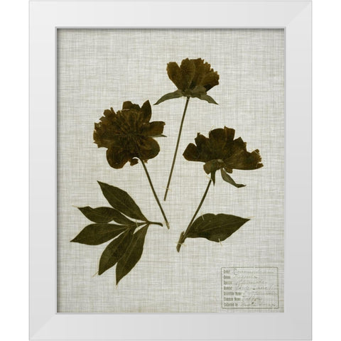 Pressed Leaves on Linen II White Modern Wood Framed Art Print by Vision Studio