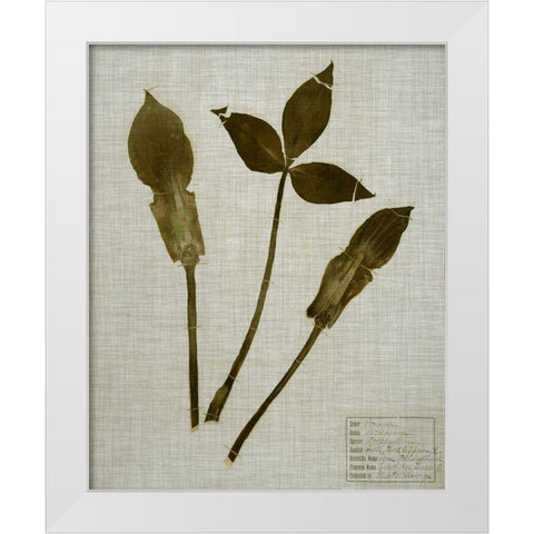Pressed Leaves on Linen IV White Modern Wood Framed Art Print by Vision Studio