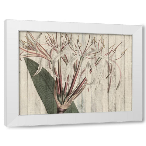 Rustic Floral I White Modern Wood Framed Art Print by Studio W