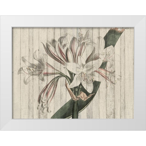 Rustic Floral II White Modern Wood Framed Art Print by Studio W