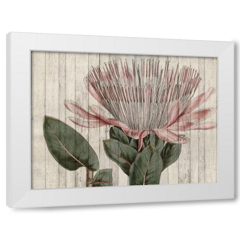 Rustic Floral IV White Modern Wood Framed Art Print by Studio W