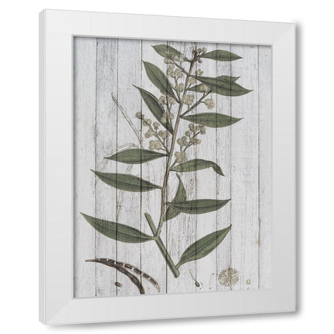 Rustic Greenery III White Modern Wood Framed Art Print by Studio W