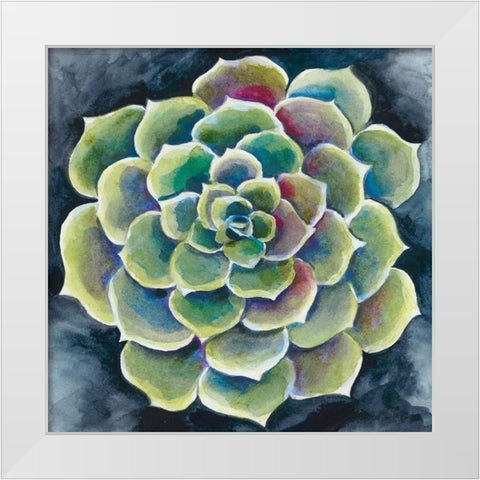 Succulent Rosette II White Modern Wood Framed Art Print by Zarris, Chariklia