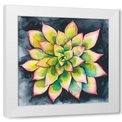 Succulent Rosette IV White Modern Wood Framed Art Print by Zarris, Chariklia