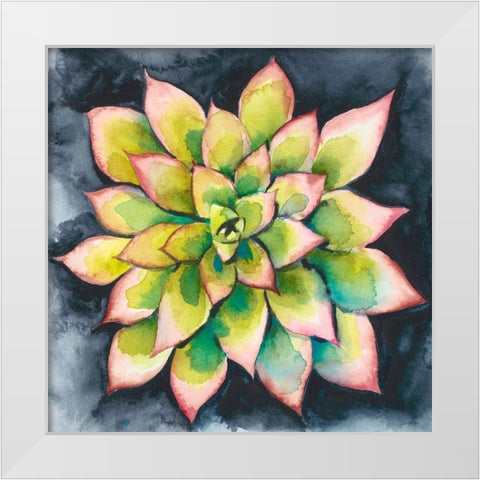 Succulent Rosette IV White Modern Wood Framed Art Print by Zarris, Chariklia