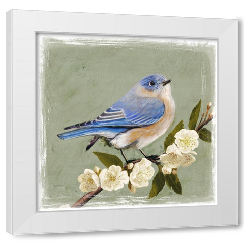 Bluebird Branch I White Modern Wood Framed Art Print by Borges, Victoria