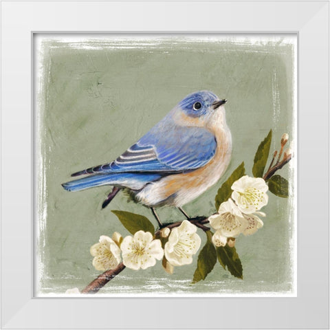 Bluebird Branch I White Modern Wood Framed Art Print by Borges, Victoria