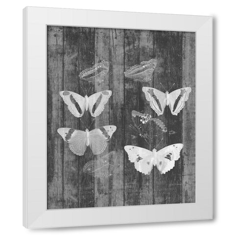 Rustic Butterfly Chart I White Modern Wood Framed Art Print by Goldberger, Jennifer