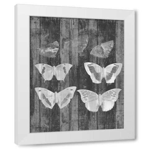 Rustic Butterfly Chart III White Modern Wood Framed Art Print by Goldberger, Jennifer