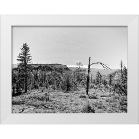 Canyon Lands V White Modern Wood Framed Art Print by Guthrie, Jenna