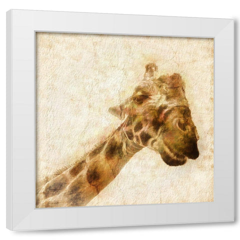 Inspektor II White Modern Wood Framed Art Print by Hartson-Weddle, Ryan