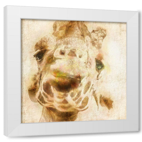 Inspektor IV White Modern Wood Framed Art Print by Hartson-Weddle, Ryan