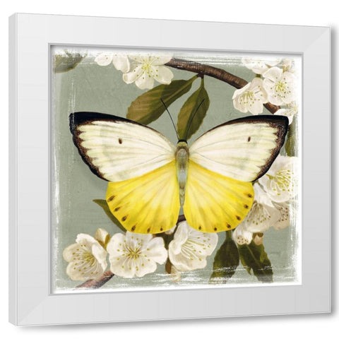 Butterfly Branch I White Modern Wood Framed Art Print by Borges, Victoria