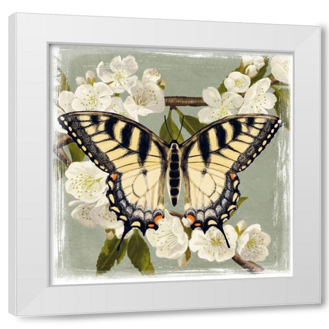 Butterfly Branch II White Modern Wood Framed Art Print by Borges, Victoria
