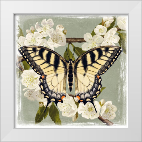 Butterfly Branch II White Modern Wood Framed Art Print by Borges, Victoria