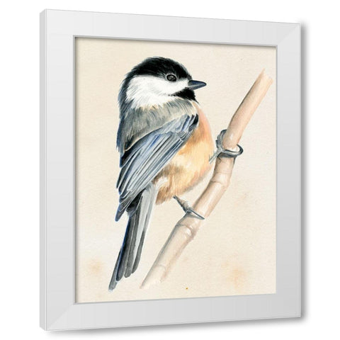 Little Bird on Branch II White Modern Wood Framed Art Print by Parker, Jennifer Paxton
