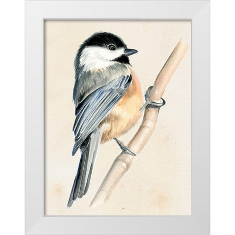 Little Bird on Branch II White Modern Wood Framed Art Print by Parker, Jennifer Paxton
