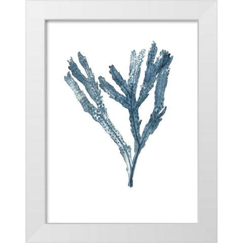 Seaweed Specimens on White I White Modern Wood Framed Art Print by McCavitt, Naomi