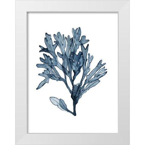 Seaweed Specimens on White II White Modern Wood Framed Art Print by McCavitt, Naomi