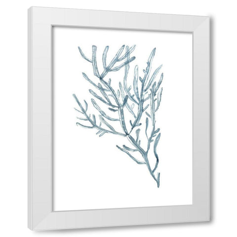 Seaweed Specimens on White III White Modern Wood Framed Art Print by McCavitt, Naomi