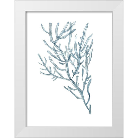 Seaweed Specimens on White III White Modern Wood Framed Art Print by McCavitt, Naomi