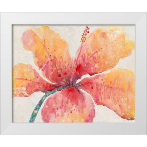Blooming Hibiscus White Modern Wood Framed Art Print by OToole, Tim