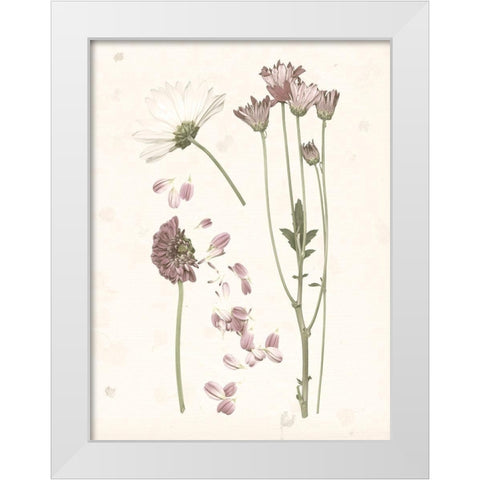 Pressed Blooms II White Modern Wood Framed Art Print by Popp, Grace