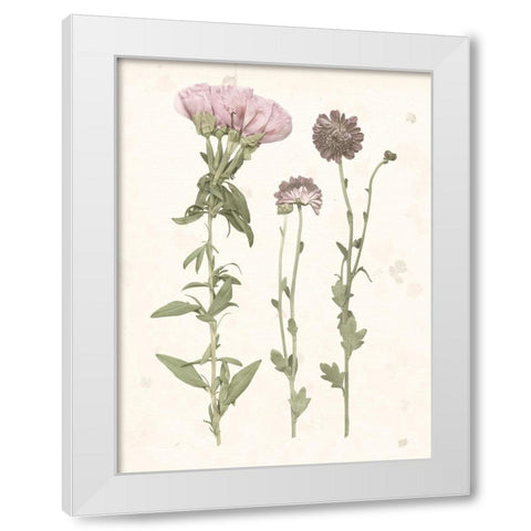 Pressed Blooms III White Modern Wood Framed Art Print by Popp, Grace