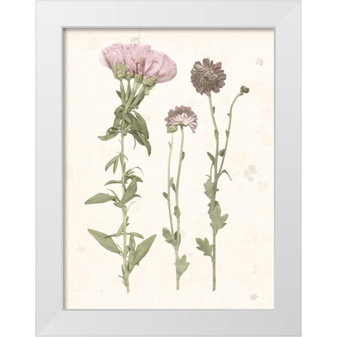 Pressed Blooms III White Modern Wood Framed Art Print by Popp, Grace