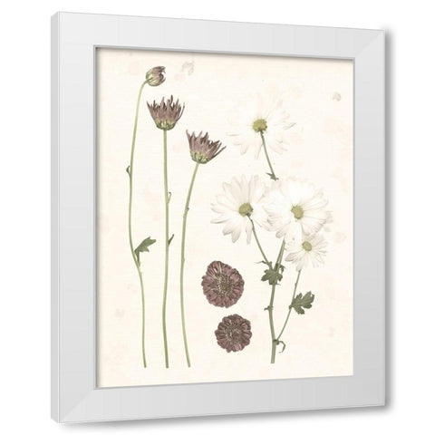 Pressed Blooms IV White Modern Wood Framed Art Print by Popp, Grace