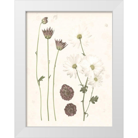 Pressed Blooms IV White Modern Wood Framed Art Print by Popp, Grace
