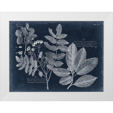 Foliage on Navy V White Modern Wood Framed Art Print by Vision Studio