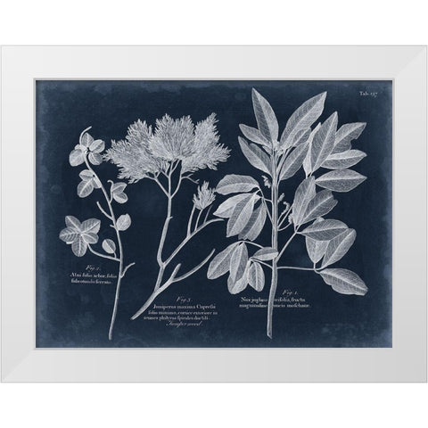 Foliage on Navy VI White Modern Wood Framed Art Print by Vision Studio