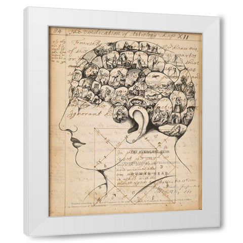 Phrenology Bookpage White Modern Wood Framed Art Print by Goldberger, Jennifer