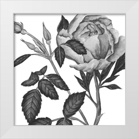 Flowers in Grey I White Modern Wood Framed Art Print by Wang, Melissa