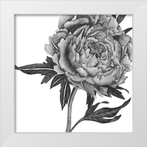 Flowers in Grey II White Modern Wood Framed Art Print by Wang, Melissa