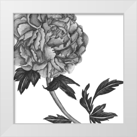 Flowers in Grey III White Modern Wood Framed Art Print by Wang, Melissa