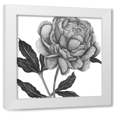 Flowers in Grey IV White Modern Wood Framed Art Print by Wang, Melissa