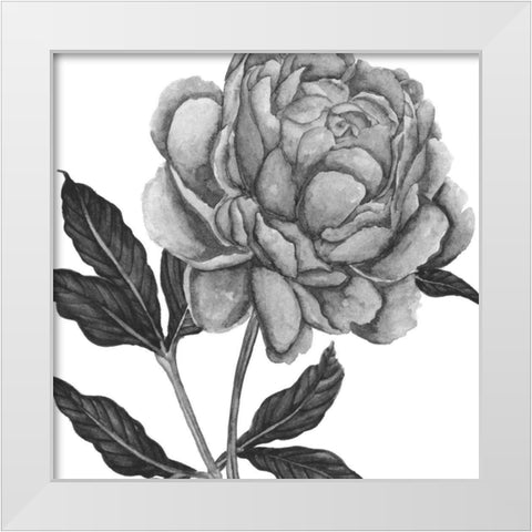 Flowers in Grey IV White Modern Wood Framed Art Print by Wang, Melissa