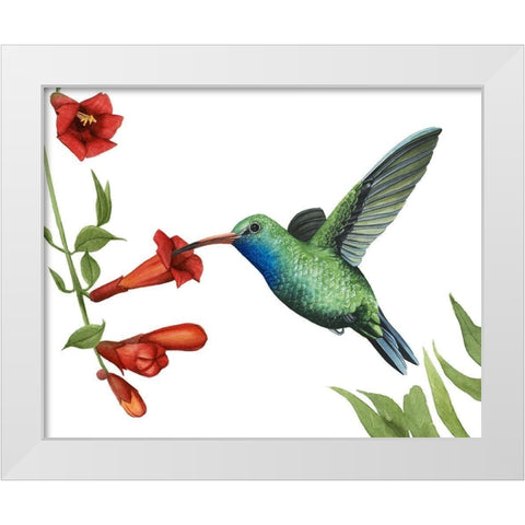 Hummingbird and Flower I White Modern Wood Framed Art Print by Popp, Grace