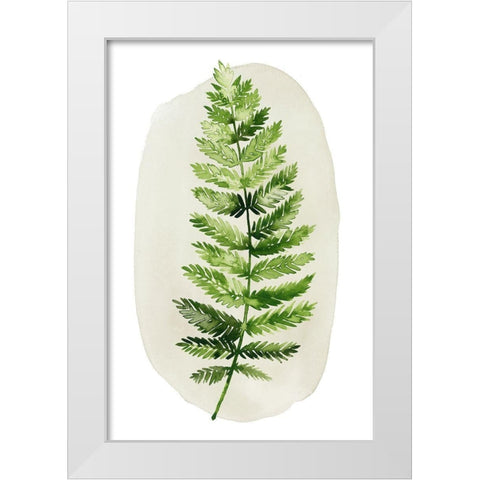 Spot Fern II White Modern Wood Framed Art Print by Popp, Grace