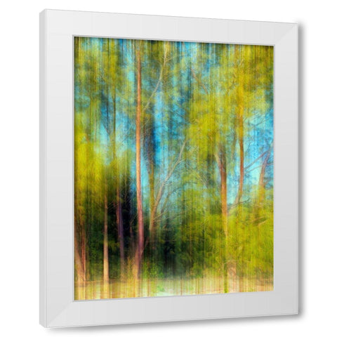 Tree Blur II White Modern Wood Framed Art Print by Nall, Skip