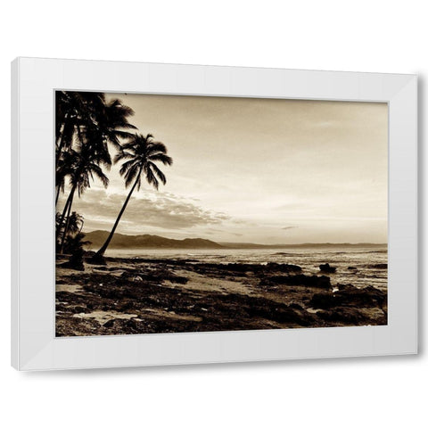 Island Palms II White Modern Wood Framed Art Print by Nall, Skip