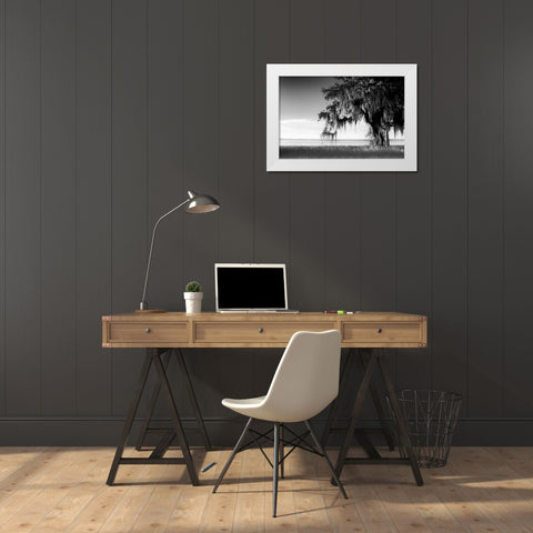 Southern Swing III White Modern Wood Framed Art Print by Nall, Skip