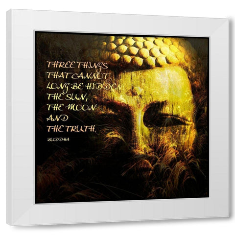 Spiritual III White Modern Wood Framed Art Print by Nall, Skip