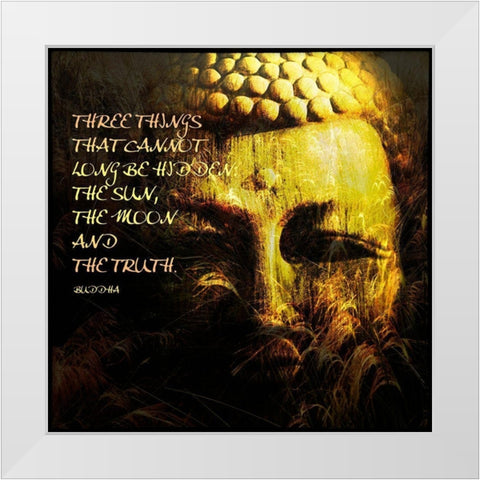 Spiritual III White Modern Wood Framed Art Print by Nall, Skip