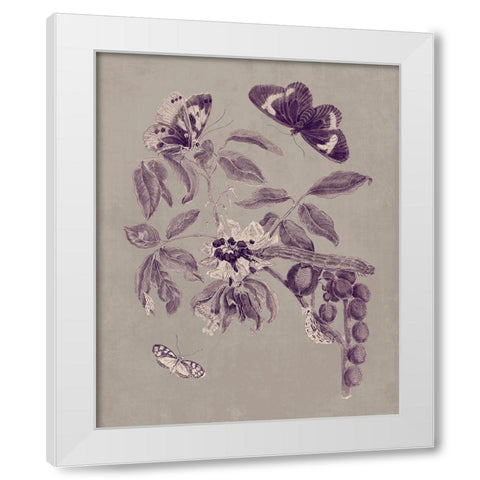 Nature Study in Plum and Taupe II White Modern Wood Framed Art Print by Merian, Maria S.